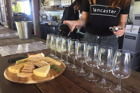 Half Day Swan Valley Wine Tour - Holiday Great Ocean Road 1