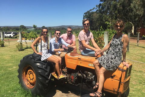 Half Day Swan Valley Wine Tour - Holiday Great Ocean Road 6