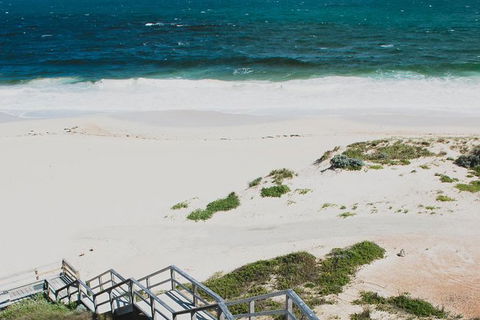 Yanchep & Lancelin - Wildlife, Cave And Sands - Holiday Great Ocean Road 4