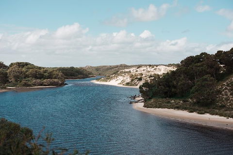 Yanchep & Lancelin - Wildlife, Cave And Sands - Holiday Great Ocean Road 6