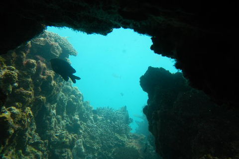 Half-Day Abrolhos Islands Shipwreck Air And Land Tour From Geraldton - Holiday Great Ocean Road 0