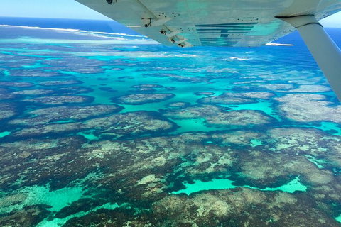 Kalbarri, Pink Lake And Abrolhos Islands Nature Tour - Holiday Great Ocean Road 5