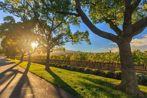 VIP Swan Valley Wine Tour - Premium Small Group Wine & Gourmet Experience - Holiday Great Ocean Road 1