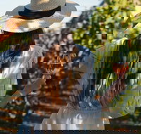 7 Hour Full Day Tour Morning Tea Chocolate Olives 3 Wineries  Lunch - Holiday Great Ocean Road