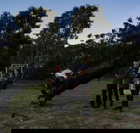 Dusk to Dawn Astronomy Margaret River - Holiday Great Ocean Road