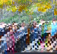 Half Day Gourmet Wine Tour - Holiday Great Ocean Road