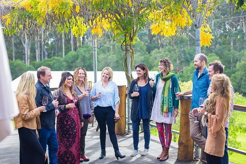 Half Day Gourmet Wine Tour - Holiday Great Ocean Road 0