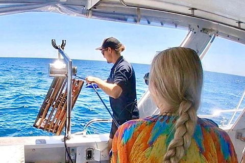 Rottnest Island 5-Course Deluxe Seafood Banquet Cruise - Holiday Great Ocean Road 20