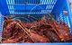 Rottnest Island 5-Course Deluxe Seafood Banquet Cruise - thumb 3