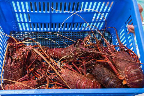 Rottnest Island 5-Course Deluxe Seafood Banquet Cruise - Holiday Great Ocean Road 3