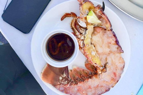Rottnest Island 5-Course Deluxe Seafood Banquet Cruise - Holiday Great Ocean Road 4