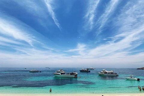 Rottnest Island 5-Course Deluxe Seafood Banquet Cruise - Holiday Great Ocean Road 7