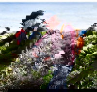 Guided Walks on the Cape to Cape - Redgate Beach to Boranup Forest - Holiday Great Ocean Road