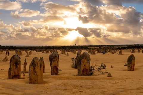 Half Day Pinnacles Sunset Tour - Holiday Great Ocean Road 1