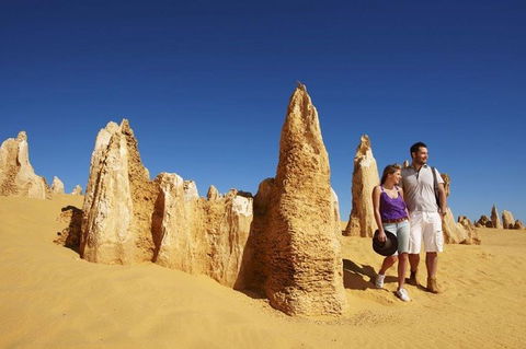 Half Day Pinnacles Sunset Tour - Holiday Great Ocean Road 7