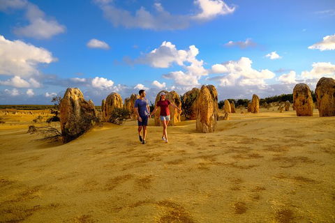 Half Day Pinnacles Sunset Tour - Holiday Great Ocean Road 3