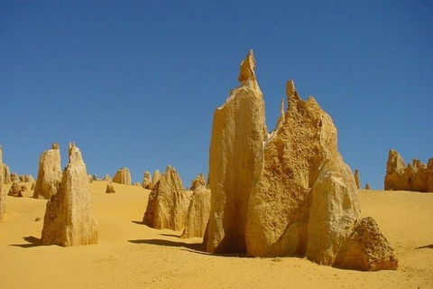 Half Day Pinnacles Sunset Tour - Holiday Great Ocean Road 5