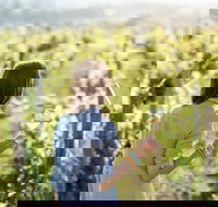 5 Hours Wineries Coffee Tasting Forest  Lunch at the Berry Farm - Holiday Great Ocean Road