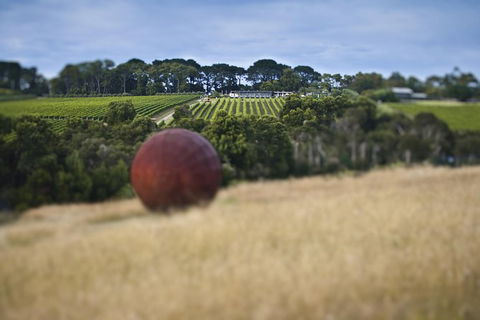 Estate To Plate: Montalto Vineyard Gourmet Lunch And Wine-Tasting Tour - Holiday Great Ocean Road 2