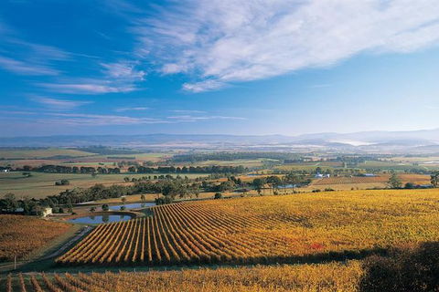 Half Day Yarra Valley Winery Day Trip From Melbourne - Holiday Great Ocean Road 0