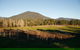 Half Day Yarra Valley Winery Day Trip From Melbourne - thumb 6