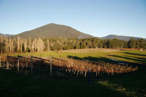 Half Day Yarra Valley Winery Day Trip From Melbourne - Holiday Great Ocean Road 6
