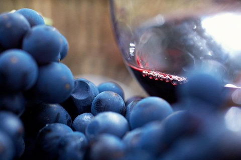 Ultimate Mornington Peninsula Food And Wine Small Group Tour - Holiday Great Ocean Road 1