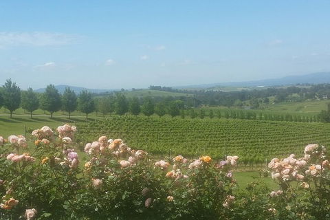 Ultimate Mornington Peninsula Food And Wine Small Group Tour - Holiday Great Ocean Road 0