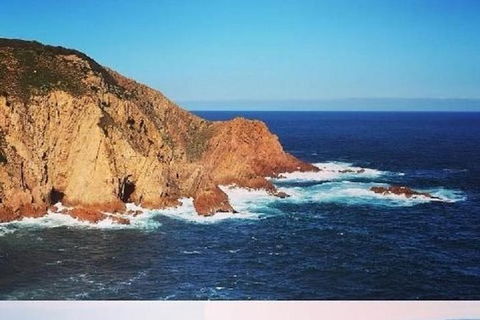 Half Day Phillip Island Woolamai Walking Tour - Holiday Great Ocean Road 1