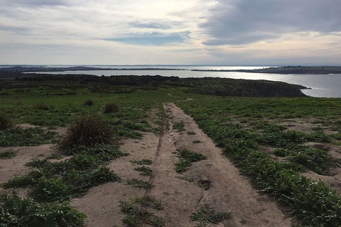 Half Day Phillip Island Woolamai Walking Tour - Holiday Great Ocean Road 8