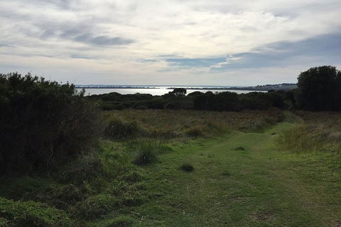 Half Day Phillip Island Woolamai Walking Tour - Holiday Great Ocean Road 4