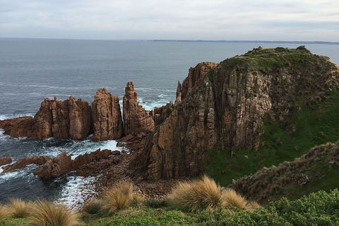 Half Day Phillip Island Woolamai Walking Tour - Holiday Great Ocean Road 16