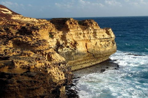 Half Day Phillip Island Woolamai Walking Tour - Holiday Great Ocean Road 12