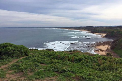 Half Day Phillip Island Woolamai Walking Tour - Holiday Great Ocean Road 13