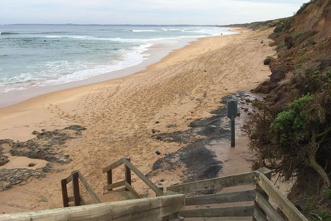 Half Day Phillip Island Woolamai Walking Tour - Holiday Great Ocean Road 11