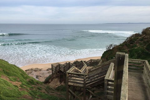 Half Day Phillip Island Woolamai Walking Tour - Holiday Great Ocean Road 5