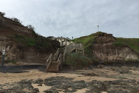 Half Day Phillip Island Woolamai Walking Tour - Holiday Great Ocean Road 14