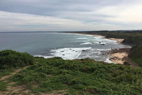 Half Day Phillip Island Woolamai Walking Tour - Holiday Great Ocean Road 10