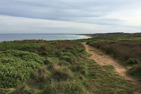 Half Day Phillip Island Woolamai Walking Tour - Holiday Great Ocean Road 3