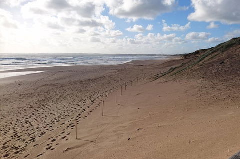 Half Day Phillip Island Woolamai Walking Tour - Holiday Great Ocean Road 7