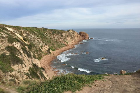 Half Day Phillip Island Woolamai Walking Tour - Holiday Great Ocean Road 2