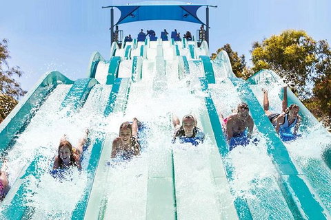 Adventure Park Geelong: General Admission Ticket - Holiday Great Ocean Road 1