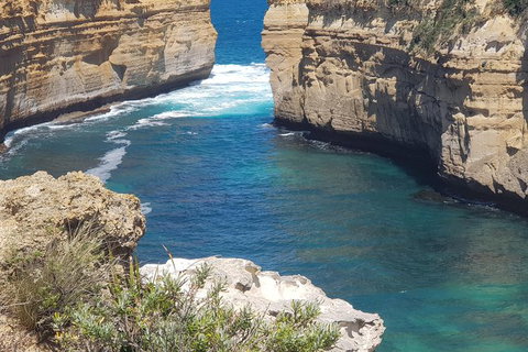Adventure Sunset Three Day Great Ocean Road Tour - Holiday Great Ocean Road 27