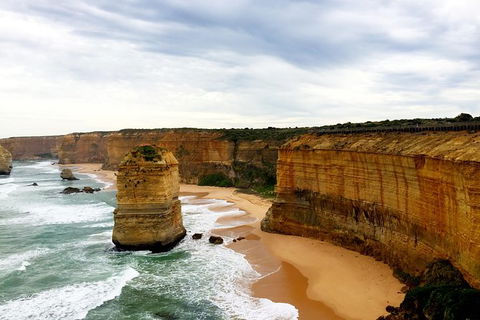 Ultimate Reverse Direction - 12 Apostles, Great Ocean Road - Small Group Tour - Holiday Great Ocean Road 5