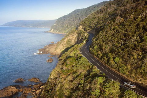 Ultimate Reverse Direction - 12 Apostles, Great Ocean Road - Small Group Tour - Holiday Great Ocean Road 10