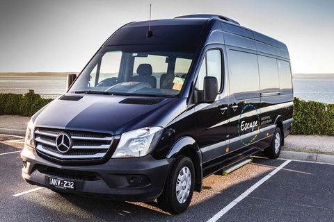 Ultimate Reverse Direction - 12 Apostles, Great Ocean Road - Small Group Tour - Holiday Great Ocean Road 4