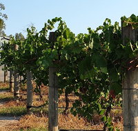 Wine Tasting Tour in The Yarra Valley - Holiday Great Ocean Road