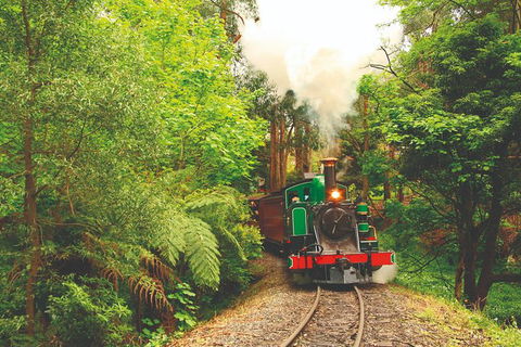 Half Day Puffing Billy Train Journey From Melbourne - Holiday Great Ocean Road 2