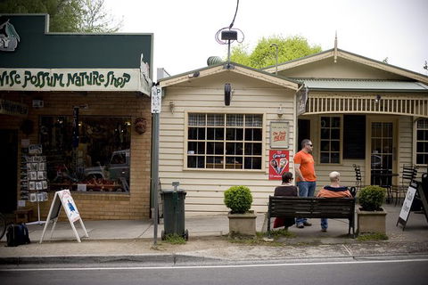 Half Day Puffing Billy Train Journey From Melbourne - Holiday Great Ocean Road 10