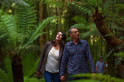 West Coast Wilderness Railway: River And Rainforest From Strahan - Holiday Great Ocean Road 3
